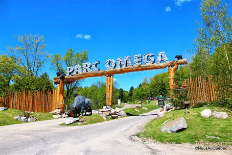 hotels near parc omega|parc omega admission fee.